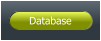 Database